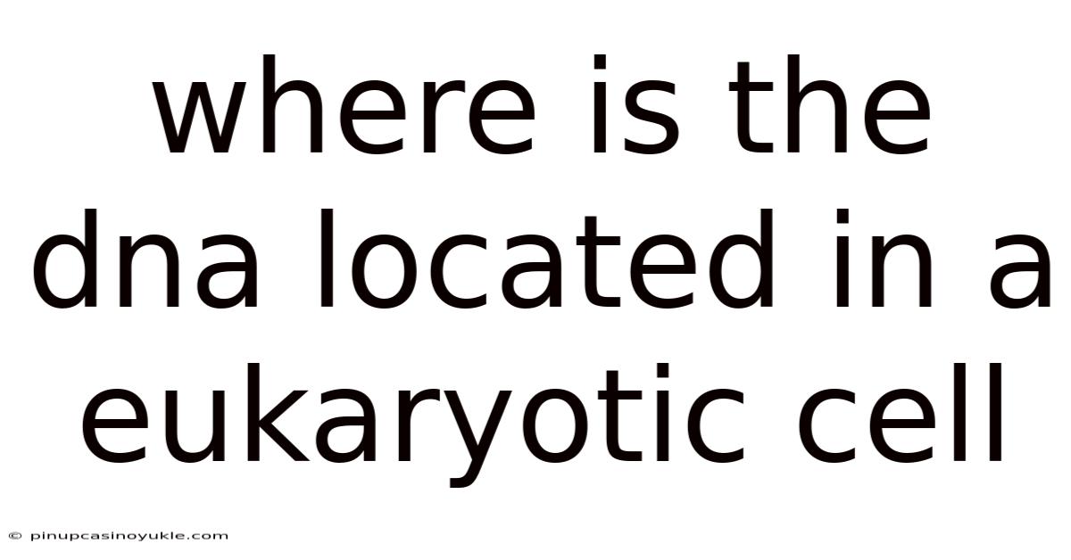 Where Is The Dna Located In A Eukaryotic Cell