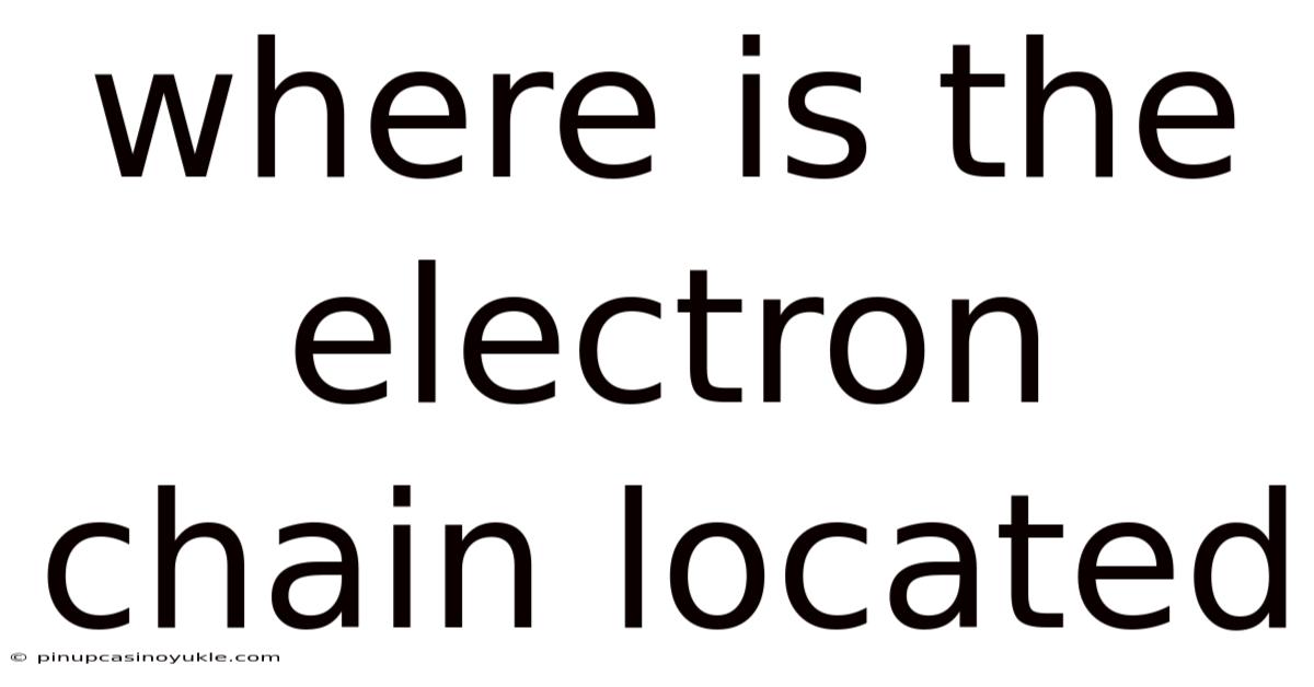 Where Is The Electron Chain Located