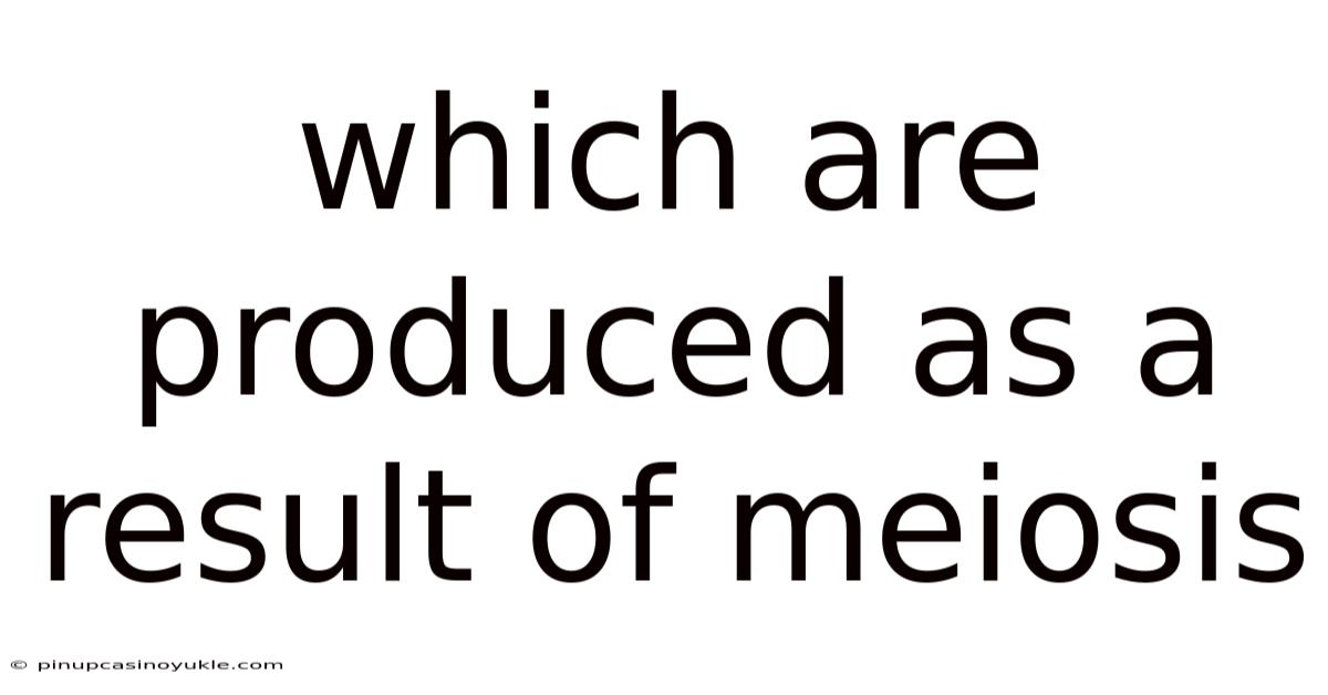 Which Are Produced As A Result Of Meiosis