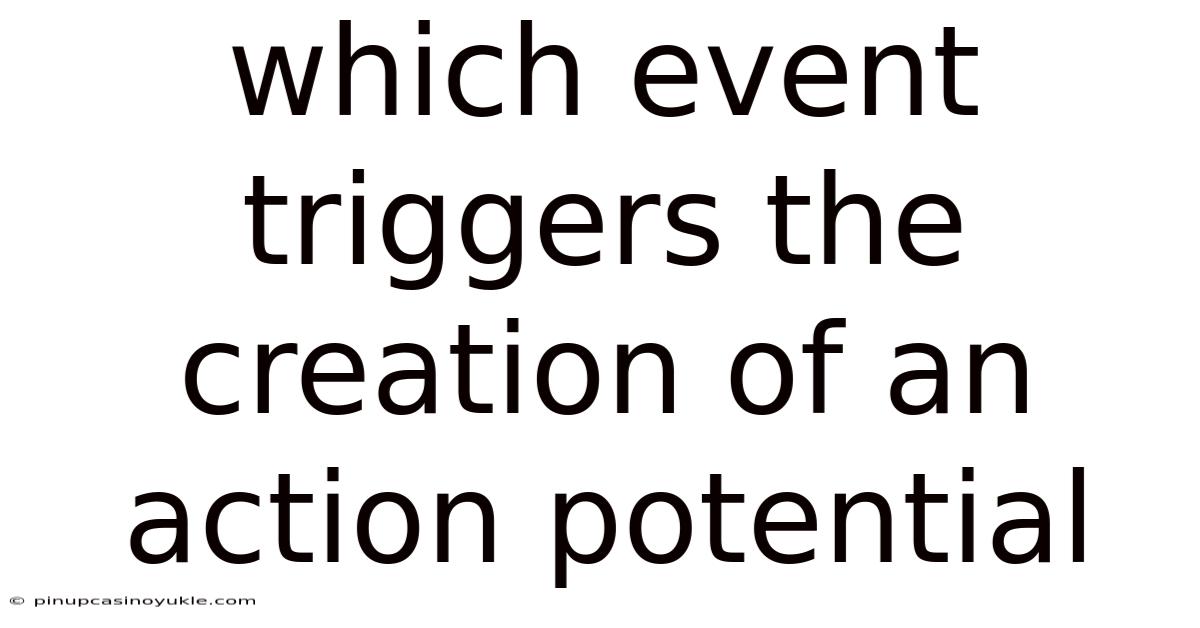 Which Event Triggers The Creation Of An Action Potential