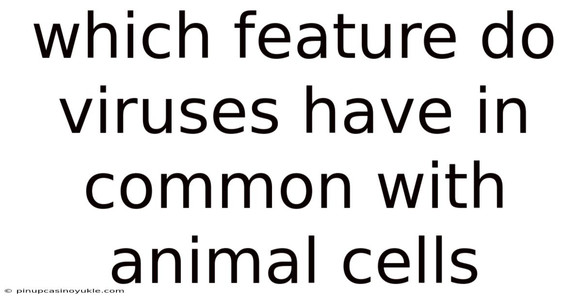 Which Feature Do Viruses Have In Common With Animal Cells