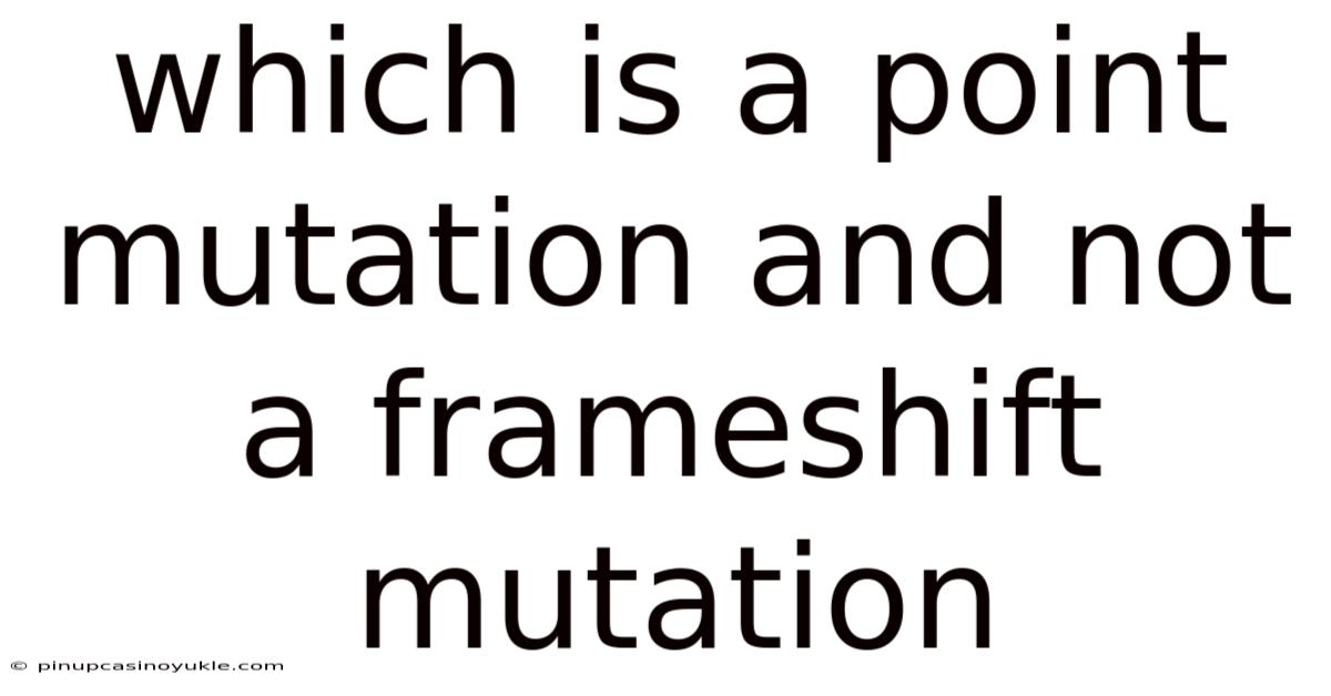 Which Is A Point Mutation And Not A Frameshift Mutation