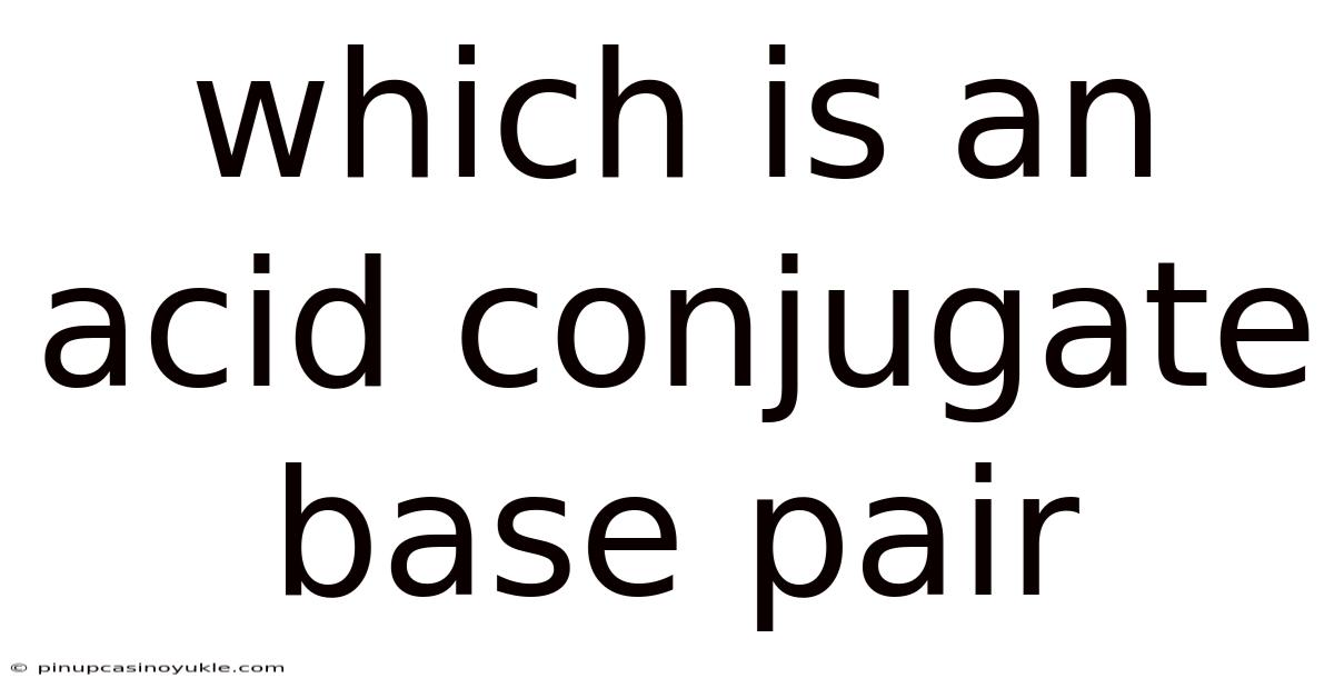 Which Is An Acid Conjugate Base Pair