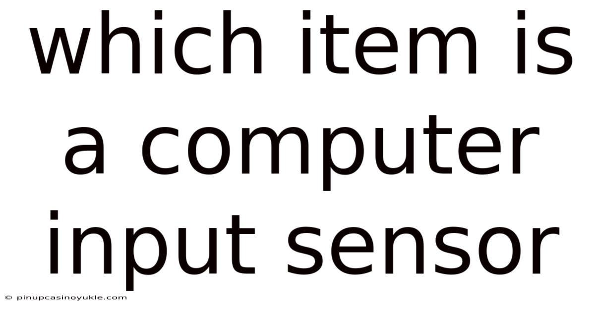 Which Item Is A Computer Input Sensor