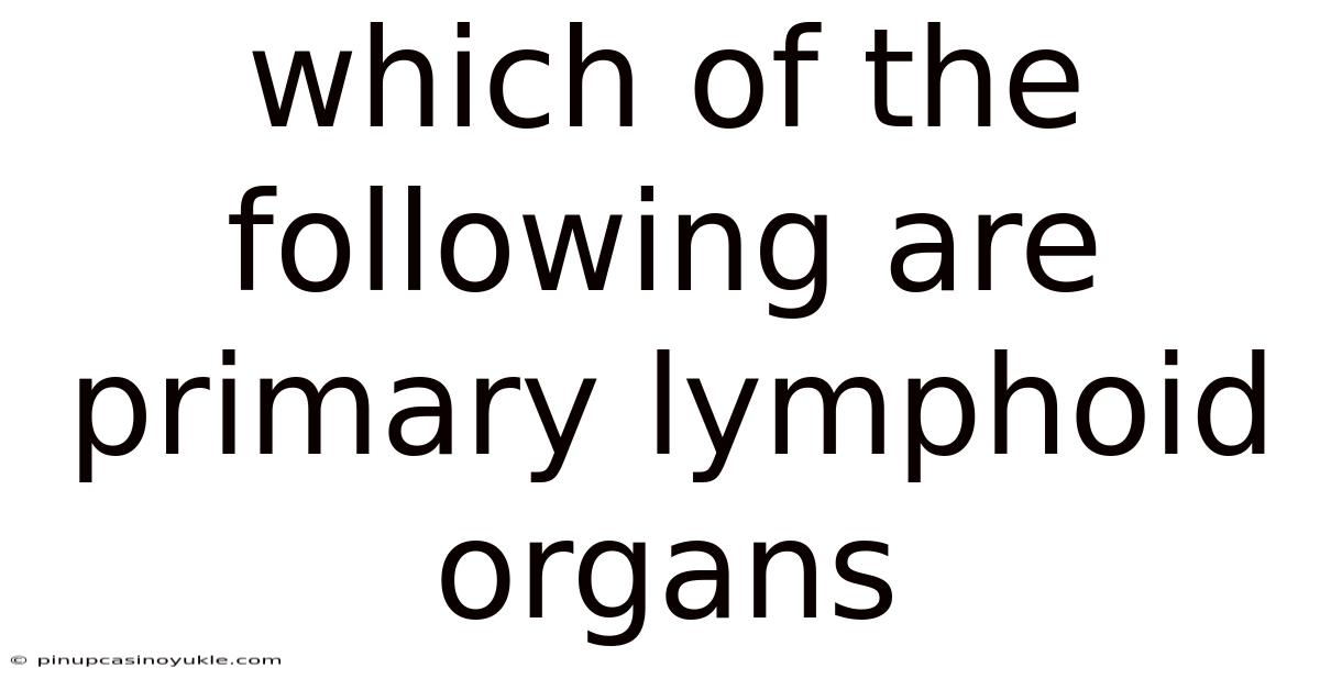 Which Of The Following Are Primary Lymphoid Organs