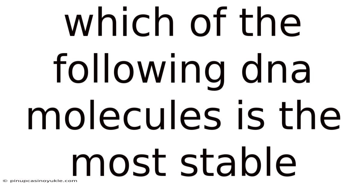 Which Of The Following Dna Molecules Is The Most Stable