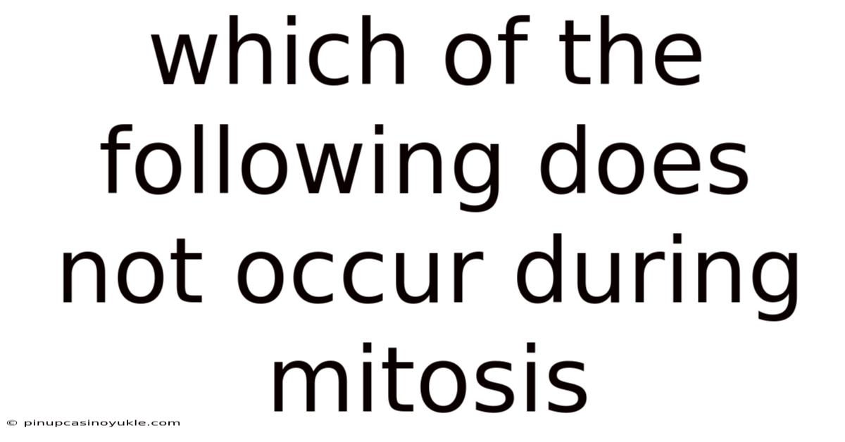Which Of The Following Does Not Occur During Mitosis