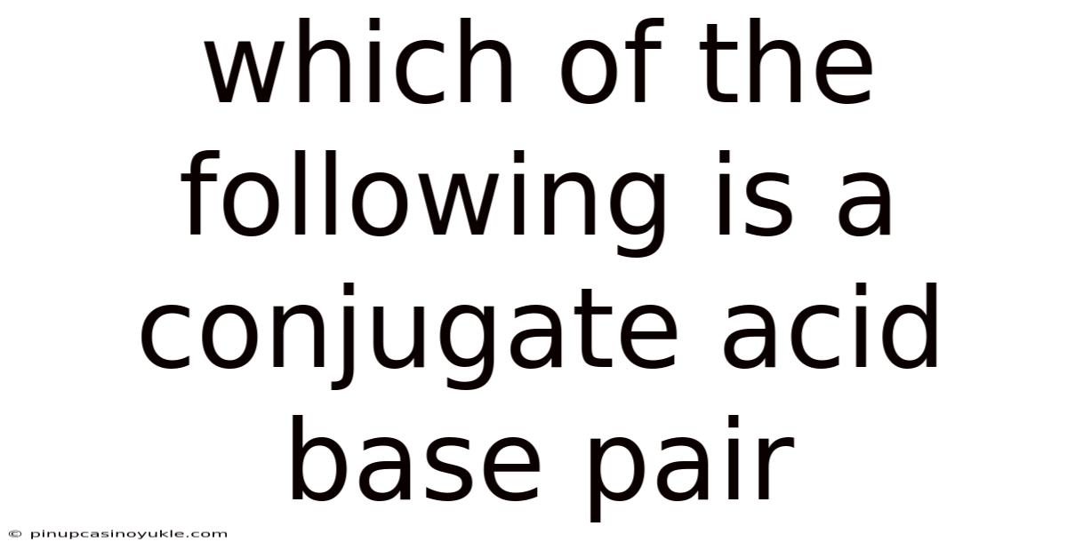 Which Of The Following Is A Conjugate Acid Base Pair