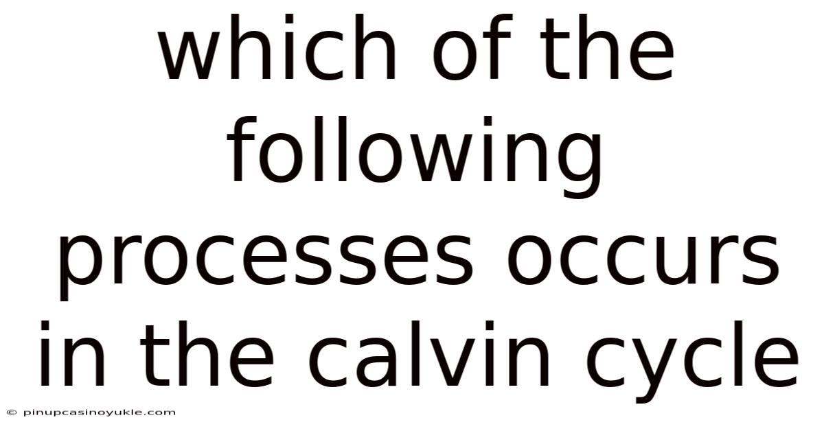 Which Of The Following Processes Occurs In The Calvin Cycle