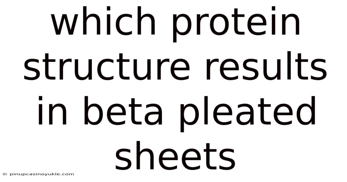 Which Protein Structure Results In Beta Pleated Sheets