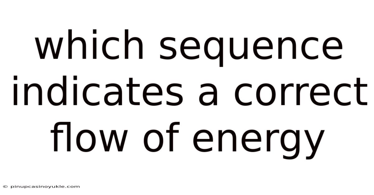 Which Sequence Indicates A Correct Flow Of Energy