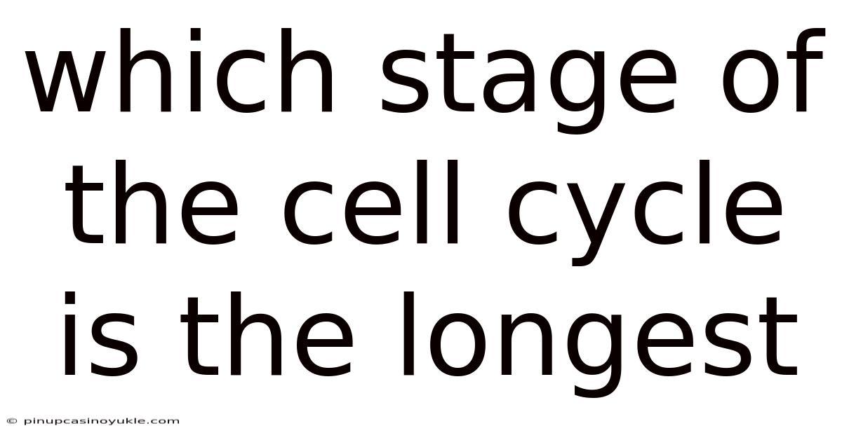 Which Stage Of The Cell Cycle Is The Longest