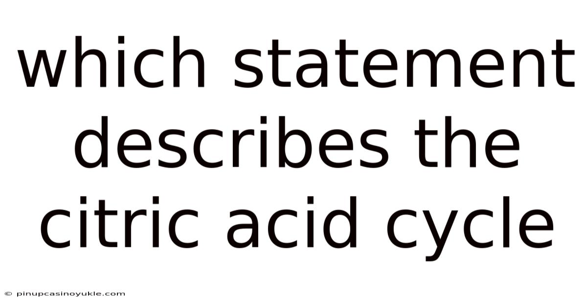 Which Statement Describes The Citric Acid Cycle