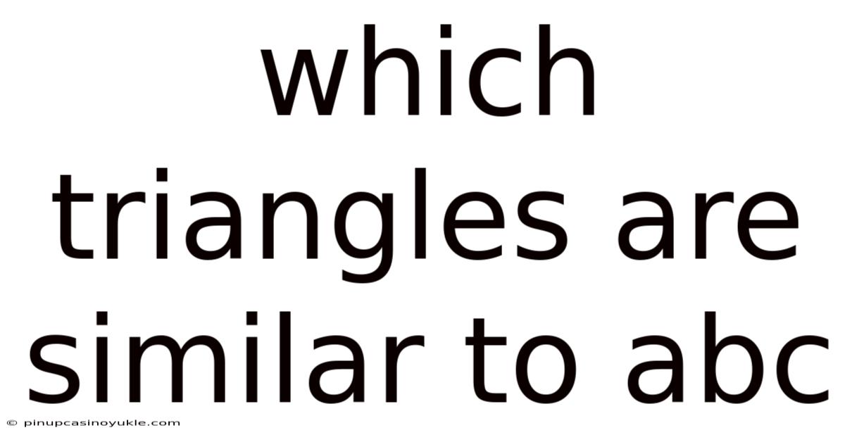 Which Triangles Are Similar To Abc