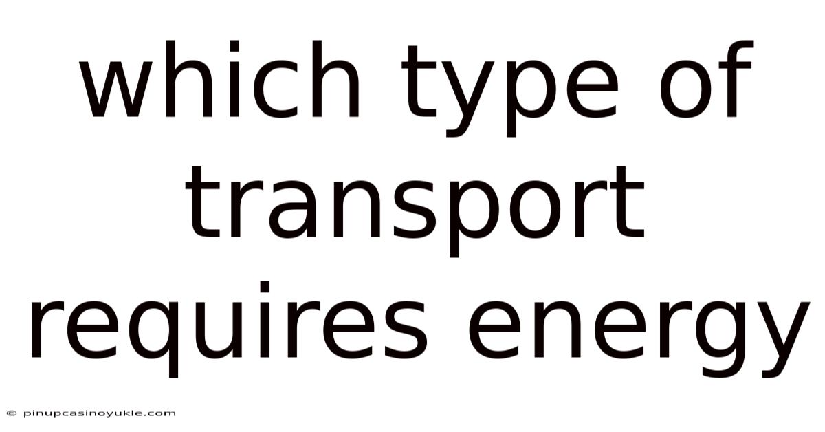 Which Type Of Transport Requires Energy