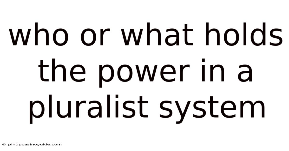 Who Or What Holds The Power In A Pluralist System