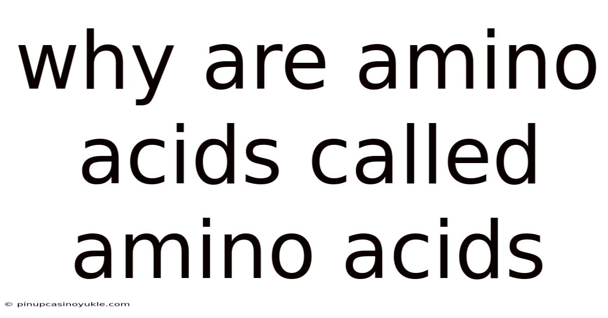 Why Are Amino Acids Called Amino Acids