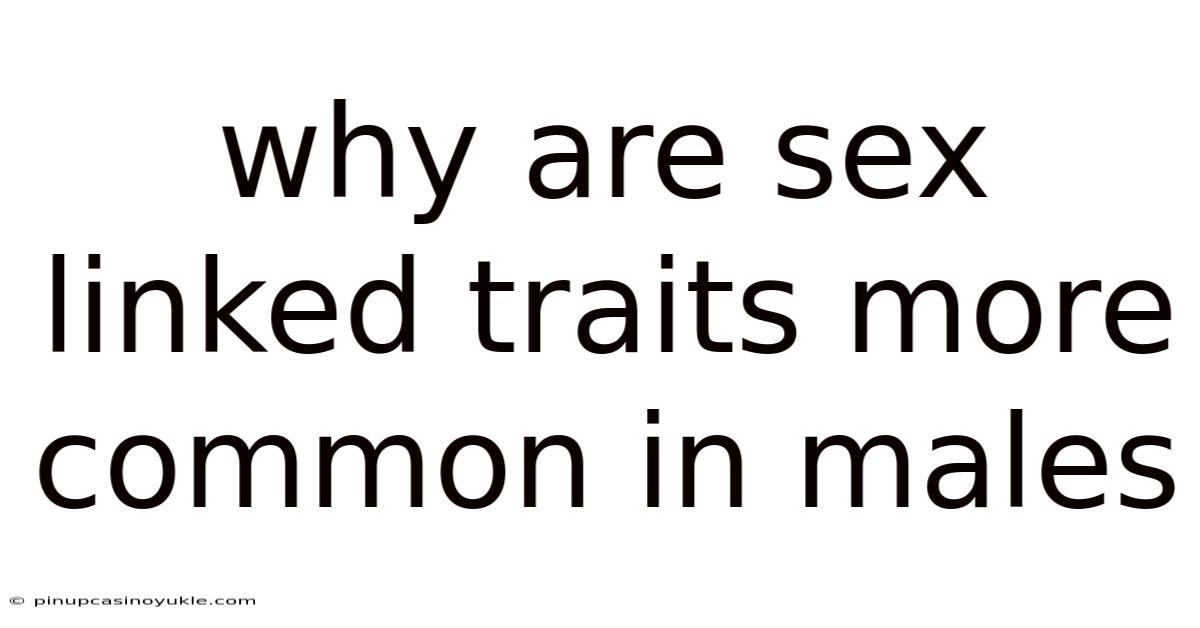 Why Are Sex Linked Traits More Common In Males