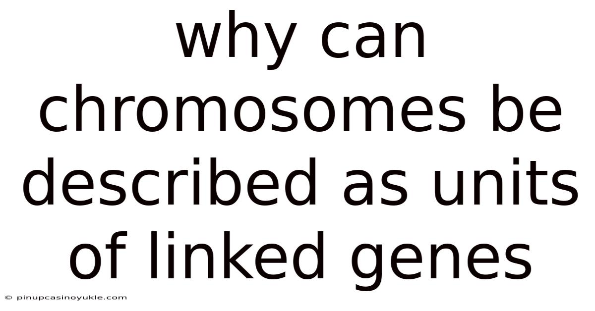 Why Can Chromosomes Be Described As Units Of Linked Genes