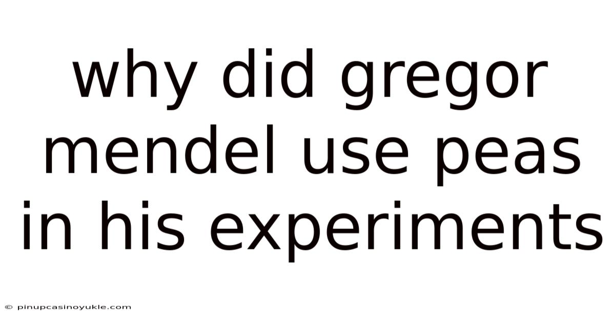 Why Did Gregor Mendel Use Peas In His Experiments