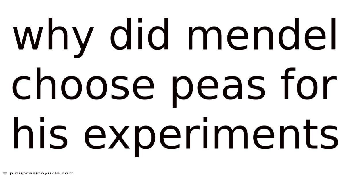 Why Did Mendel Choose Peas For His Experiments