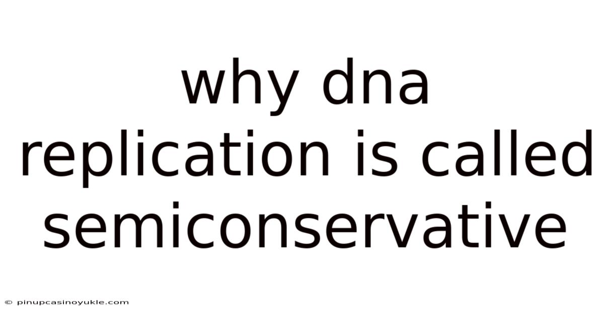 Why Dna Replication Is Called Semiconservative