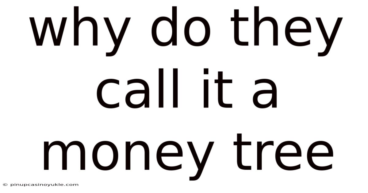 Why Do They Call It A Money Tree