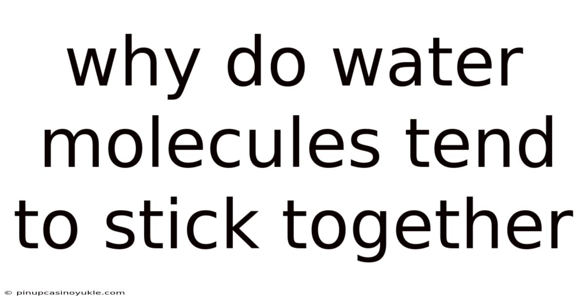 Why Do Water Molecules Tend To Stick Together