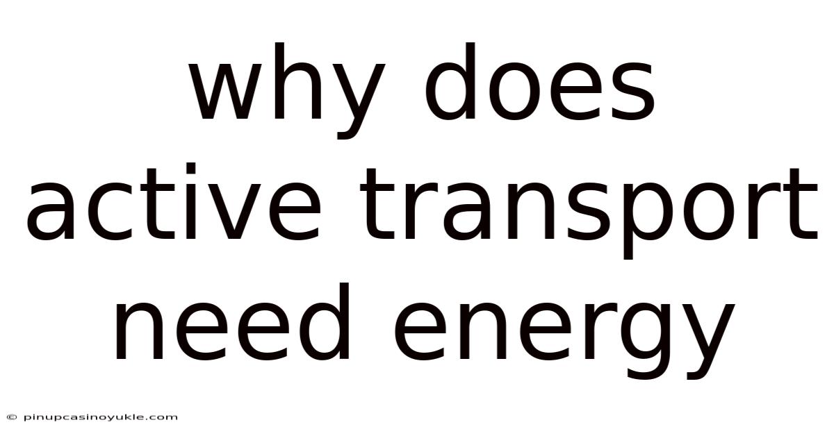 Why Does Active Transport Need Energy