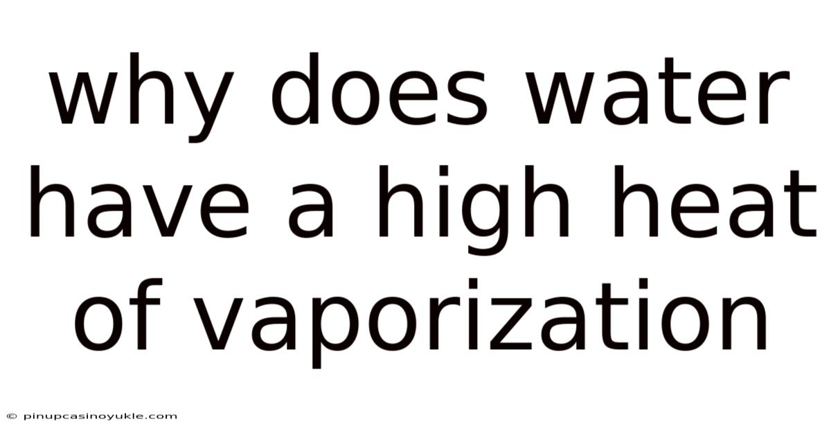 Why Does Water Have A High Heat Of Vaporization