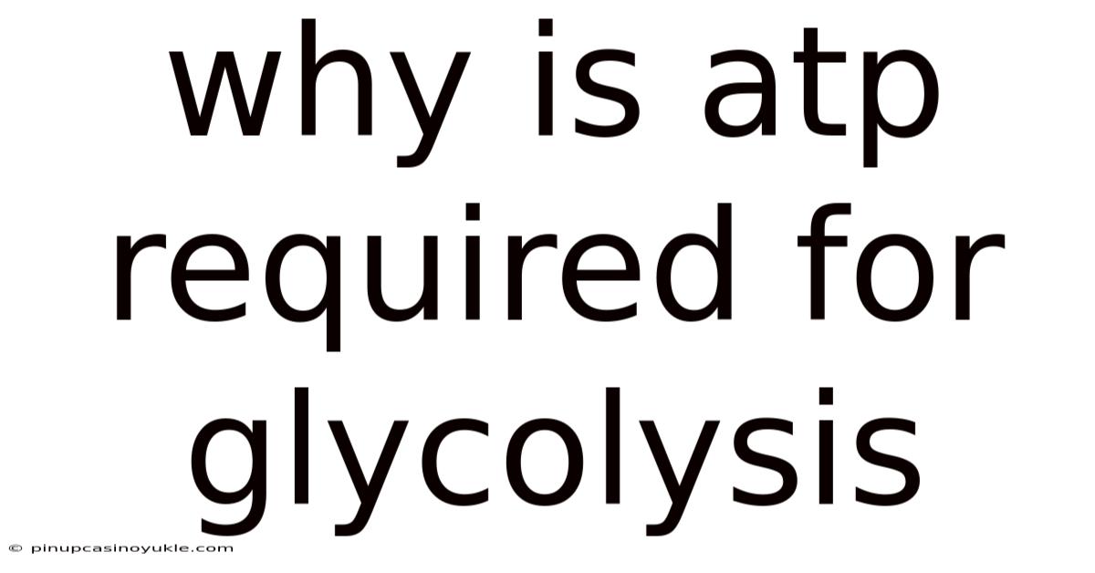 Why Is Atp Required For Glycolysis