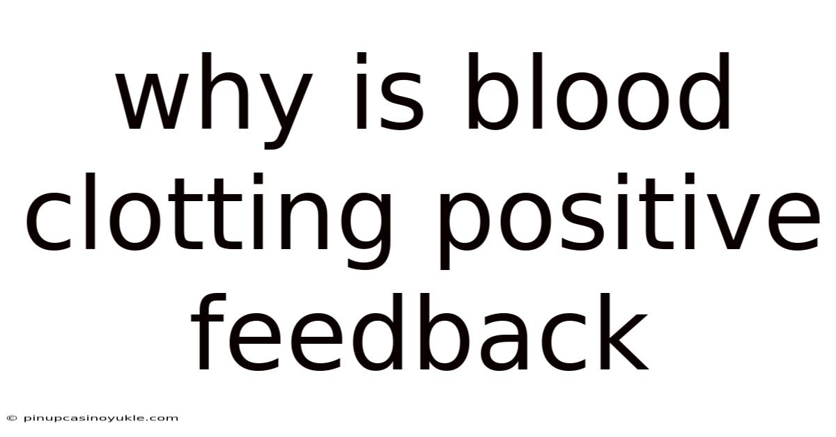 Why Is Blood Clotting Positive Feedback