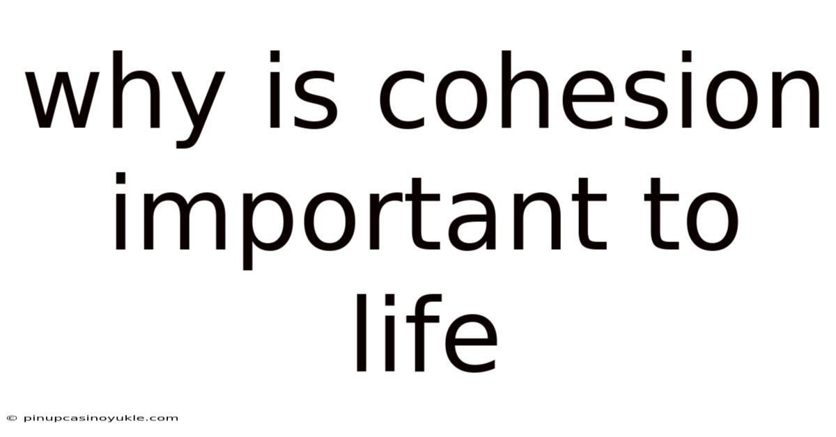 Why Is Cohesion Important To Life