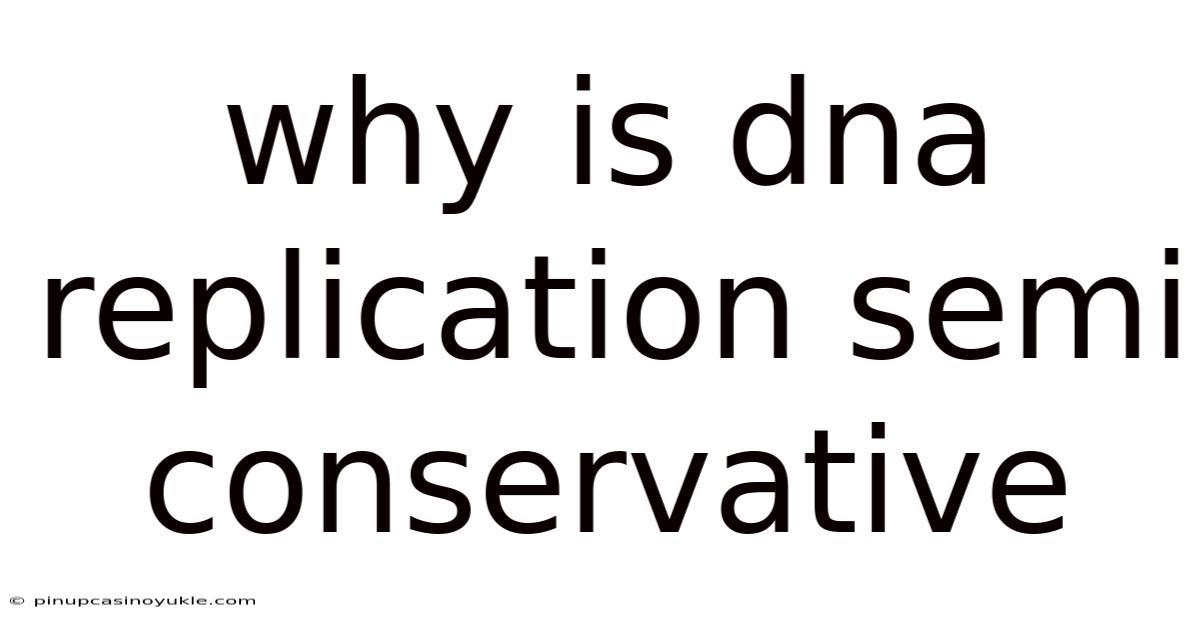 Why Is Dna Replication Semi Conservative