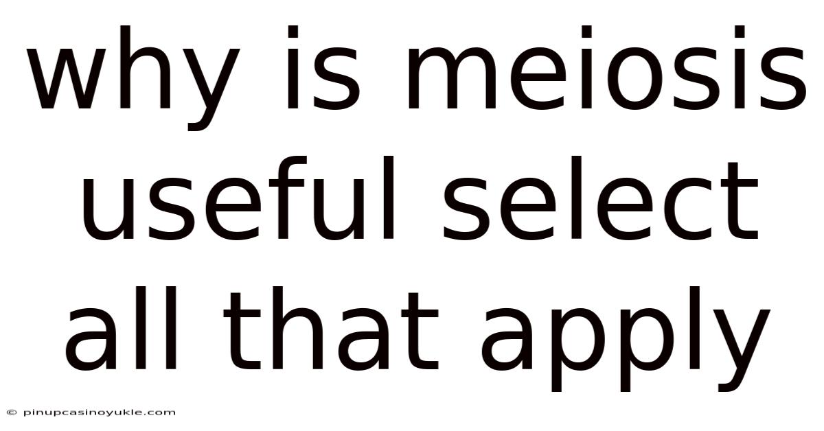 Why Is Meiosis Useful Select All That Apply