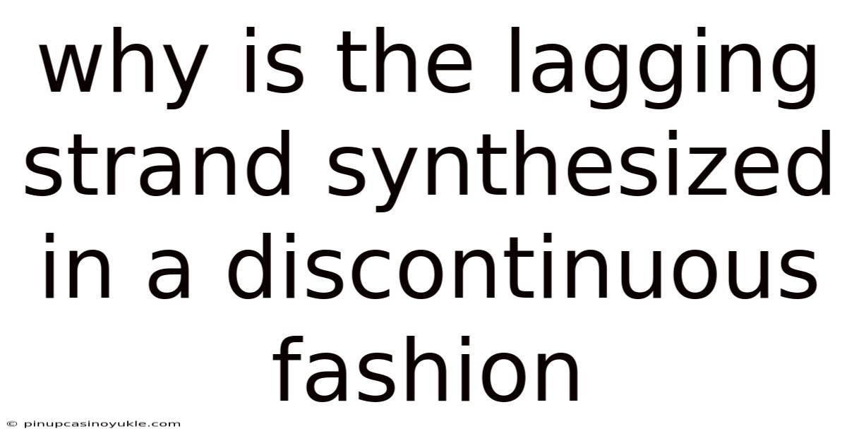 Why Is The Lagging Strand Synthesized In A Discontinuous Fashion