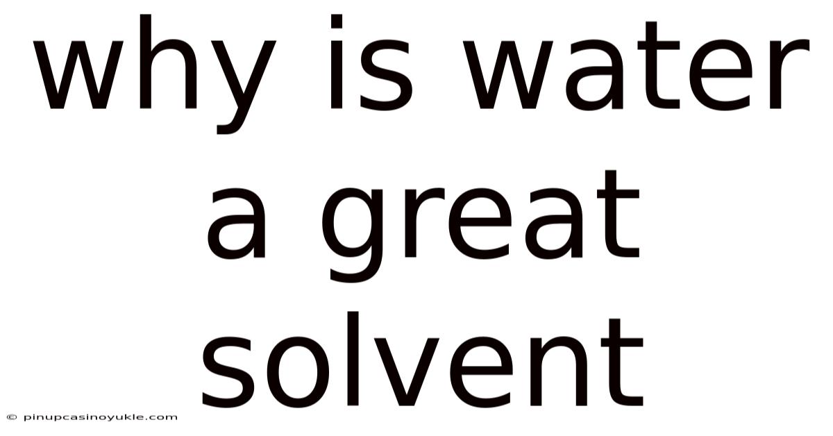Why Is Water A Great Solvent