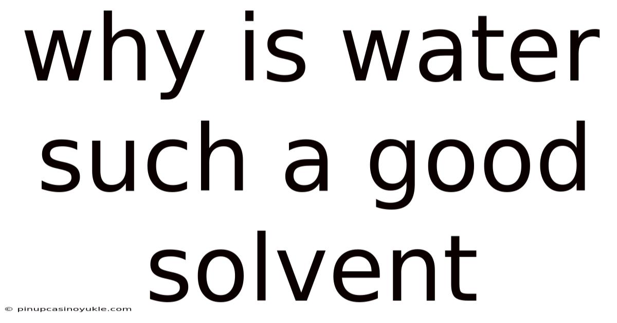 Why Is Water Such A Good Solvent