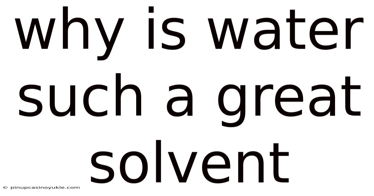 Why Is Water Such A Great Solvent