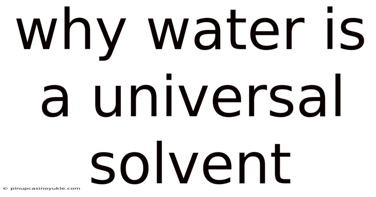 Why Water Is A Universal Solvent