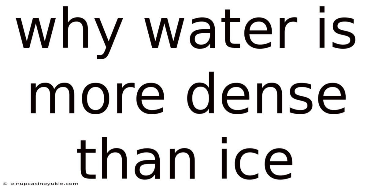 Why Water Is More Dense Than Ice